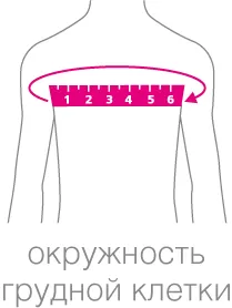 grudnaya-kletka_m.png grudnaya-kletka_m.png