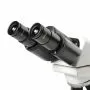 Микроскоп биологический бинокулярный Микромед 1 (2 LED inf.), арт. 28066