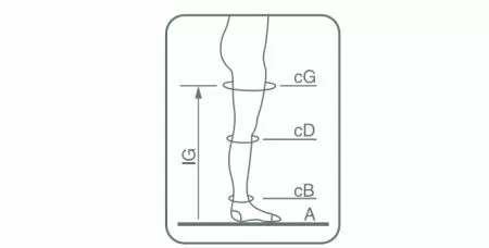 Чулки компрессионные Ergoforma EU 222 женские 2 класс компрессии с закрытым носком и кружевной резинкой полупрозрачные 